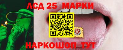 шишки Аргун