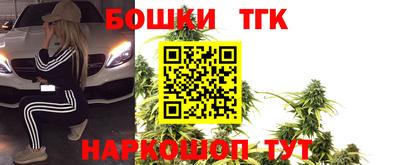 шишки Аргун