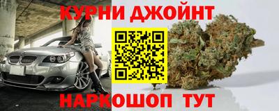 шишки Аргун