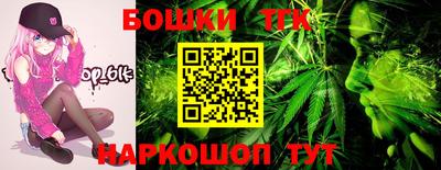шишки Аргун