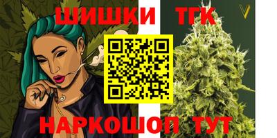 шишки Аргун