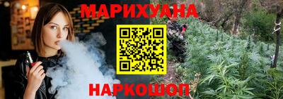 шишки Аргун