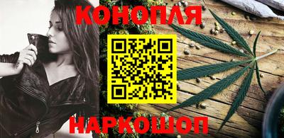 шишки Аргун