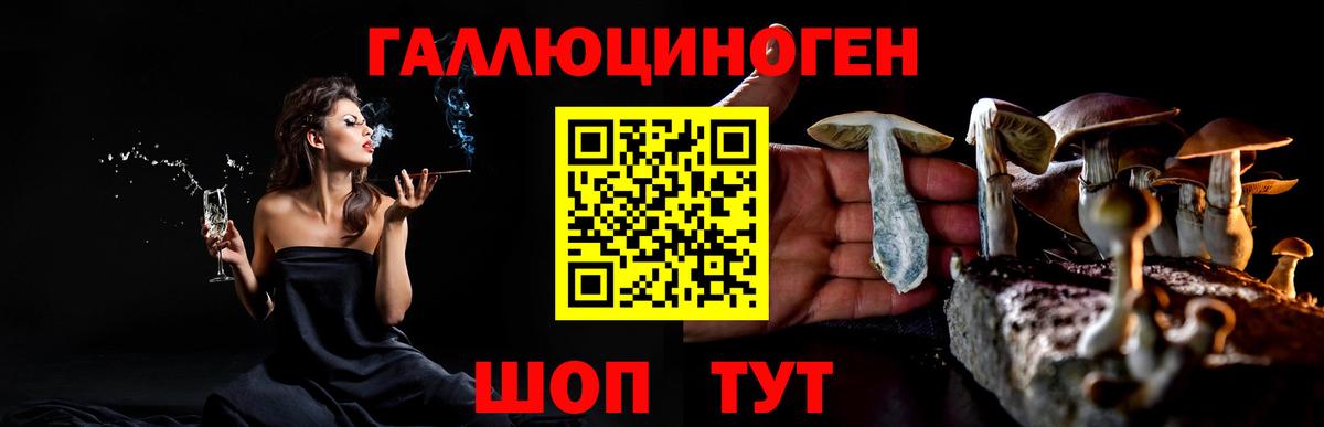 Галлюциногенные грибы GOLDEN TEACHER Всеволожск